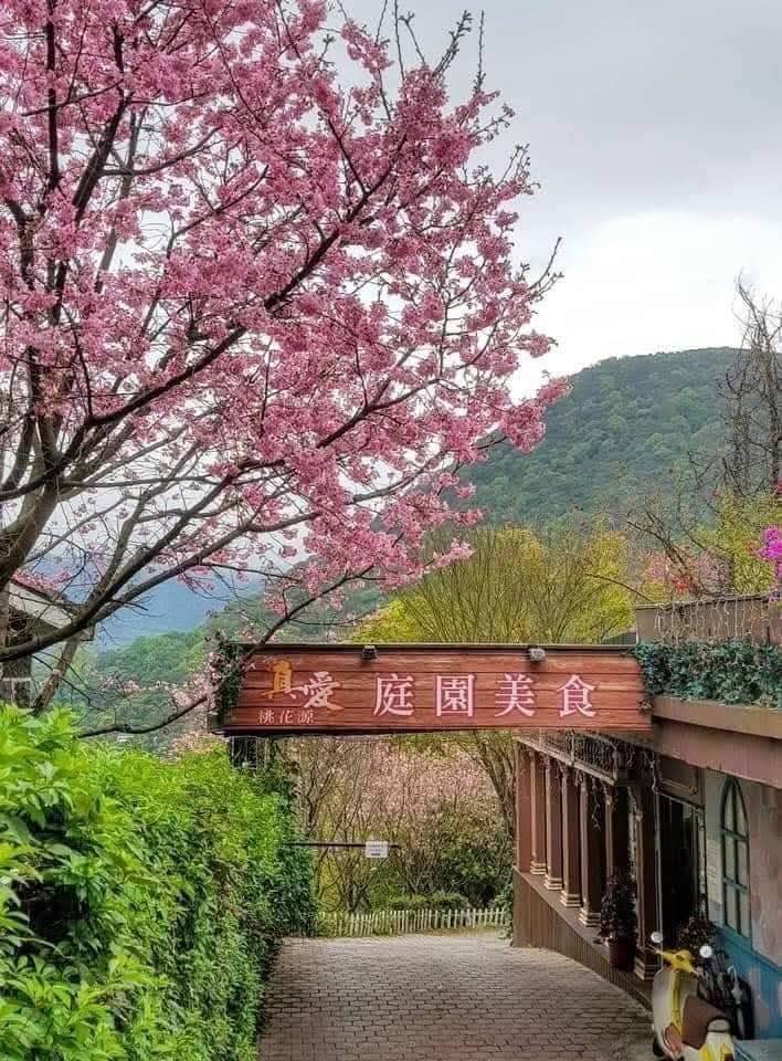 真愛桃花源園區入口，櫻花與庭園美食招牌